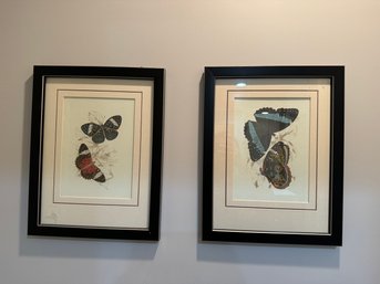 Pair Of Butterfly Prints