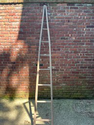 9 Antique Apple Ladder