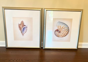 Set Of 2 Shell Prints In Gold Frames