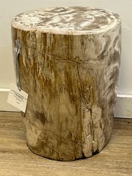 Petrified Wood Occasional Table