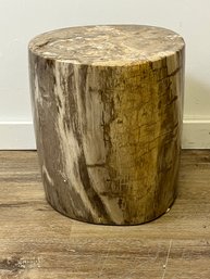 Petrified Wood Occasional Table