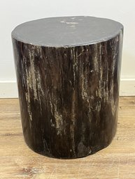 Petrified Wood Occasional Table