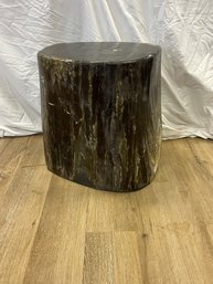 Petrified Wood Occasional Table