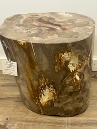 Petrified Wood Occasional Table