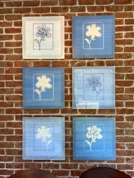 Set Of 6 Blue Lily Prints On Lucite