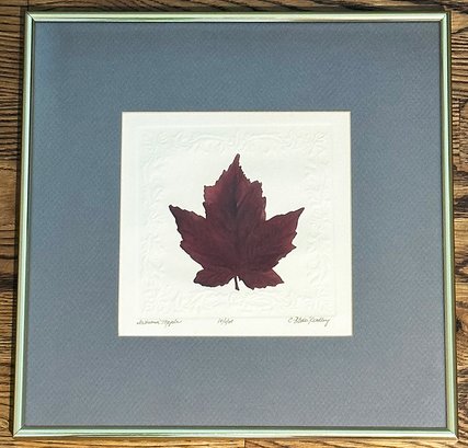 C. Butler Pendley Framed Embossed Print 'Autumn Maple' - Signed / Numbered