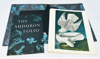 The Audubon Folio - 31 Prints