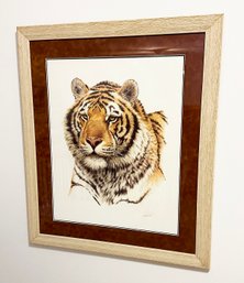 Guy Coheleach Siberian Tiger Lithograph - Framed (27.25' X 32') - Hand Signed