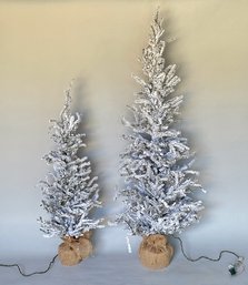 Pair Of Lighted Holiday Trees From Olive & Cocoa - 37' & 51' Tall