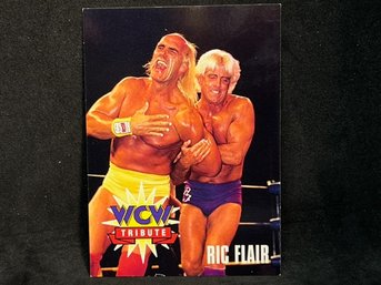 1995 CARDZ WCW RIC FLAIR