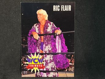 1995 CARDZ WCW RIC FLAIR #78