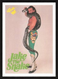1990 WWF CLASSIC JAKE THE SNAKE ROBERTS