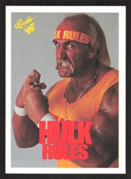 1990 TITANSPORTS HULK HOGAN