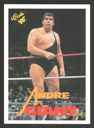 1989 TITANSPORTS ANDRE THE GIANT