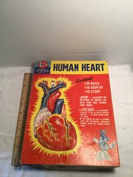 Vintage PYRO Plastic Human Heart Model With Box, Complete