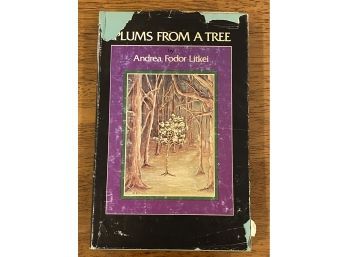 Plums From A Tree By Andrea Fodor Litkei SIGNED & Inscribed