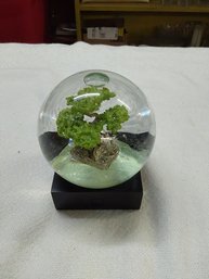 Snow Globe