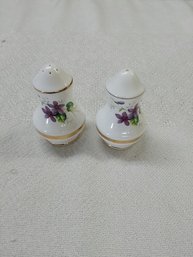 Pair Of Salt & Pepper Shakers