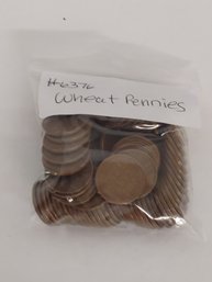 Lot Of Wheat Cent