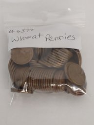 Lot Of Wheat Cent