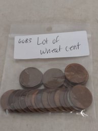 Lot Of Wheat Cent