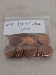 Lot Of Wheat Cent