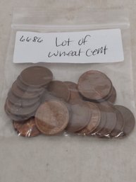 Lot Of Wheat Cent