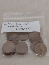 Lot Of Canadian Pennies