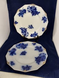 Lot Of 2 Plates 10'