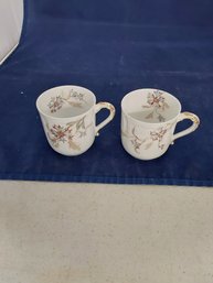 Pair Of Haviland & Co. Small Cups