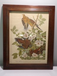 2 Framed Audubon Prints
