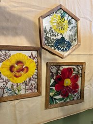 Set Of Three Threshold Floral Prints
