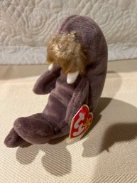 Ty Beanie Baby Jolly Walrus Style Excellent   1996