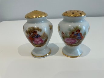 Vintage French Limoges Salt And Pepper Shakers