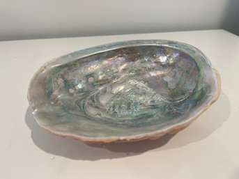 8 Inch Large Abalone Shell Smudge Bowl Colorful Abalone Shell