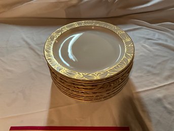 Set Of 12 Vintage Rosenthal Golden Bloom Dinner Plate