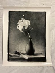 Eric Kamp 16x20 Pencil Signed Print Lily In Vase