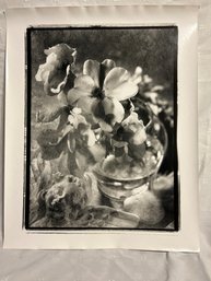 Eric Kamp 16x20 Pencil Signed Print Wild Rose And Angel