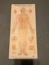 Vintage Body Acupuncture Chart Poster  Printed In Hong Kong 1981