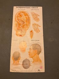 Vintage Acupuncture Chart Ear Hand Head Poster  Printed In Hong Kong 1981