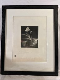 24x30 Inches Signed Photogravure Lou Spitalnick Still Life Amaryllis