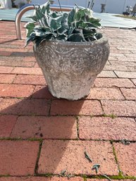 9 Inch High By 10 Inches Round Cement Planter