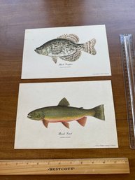 VINTAGE BLACK CRAPPIE AND BROOK TROUT FISH PRINTS HEDDON'S FAMOUS COLLECTION HEDDON FISHING LURE