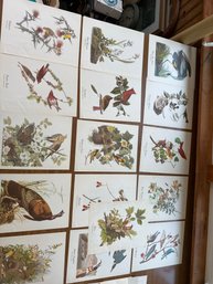 Set Of 16 Vintage Best Loved Bird Prints By Audubon