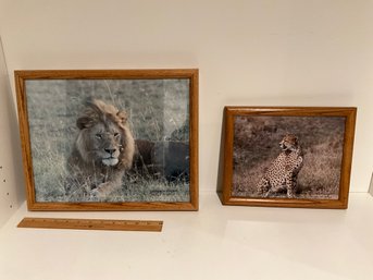 2 Framed Photographs Wildlife Photography Maasai Mara Serengeti Kenya E Africa Signed By Artist