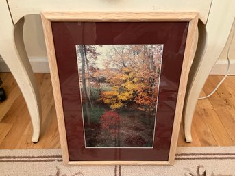 Custom Framed Autumn Fall Forest Nature Print