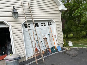 Garden Yard Lot With One Piece Of Ladder