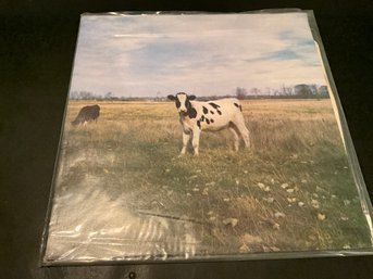 PINK FLOYD DARK SIDE OF THE MOO LP SCREAMING ABDABS Vintage Vinyl Record Album