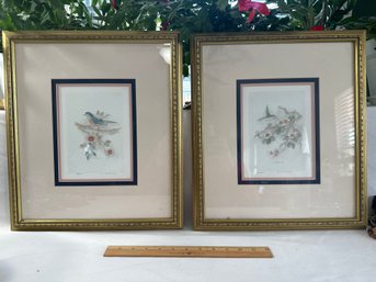 Set Of 2 Vintage Gold Wood Frame Signed Numbered Bird Prints By Bertrand