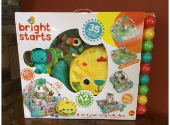 Bright Starts 5 In 1 Your Way Ball Play 12 Toys